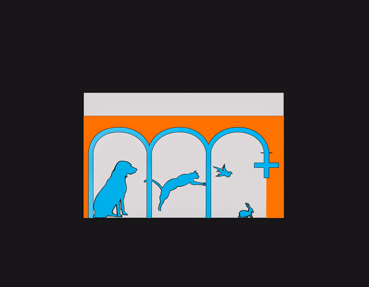 Consultations ophtalmologiques pour animaux  la clinique vtrinaire de La Ciotat