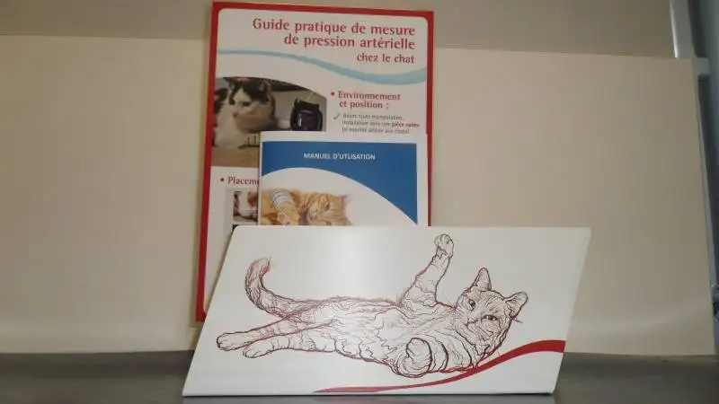 Peut-on prendre la tension artrielle  un chien ou  un chat chez le vtrinaire  La Ciotat