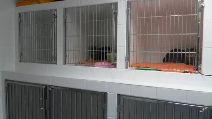 En quoi consiste l'hospitalisation de mon chien ou de mon chat  La Ciotat