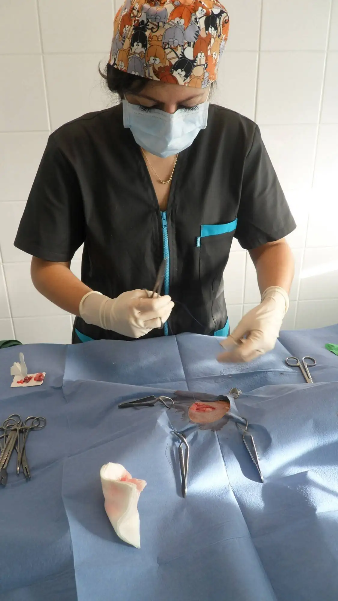 clinique vtrinaire La Ciotat