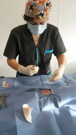 O faire striliser mon chien, mon chat ou mon lapin  la Ciotat chez le vtrinaire