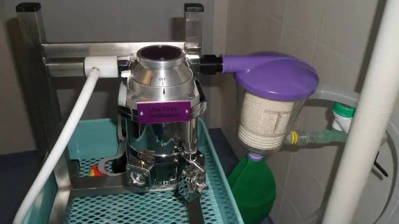 spcialiste des chats vtrinaire La Ciotat