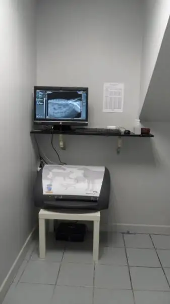 spcialiste des chats vtrinaire La Ciotat