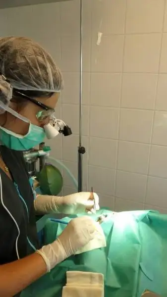 clinique vtrinaire La Ciotat