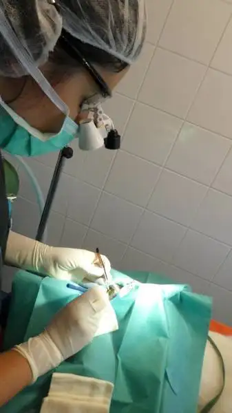 clinique vtrinaire La Ciotat