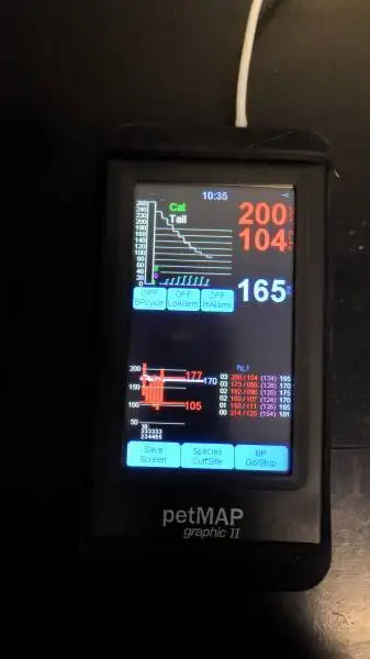 spcialiste des chats vtrinaire La Ciotat