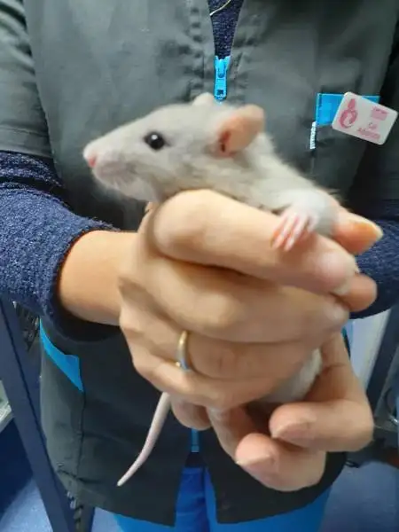 clinique vtrinaire La Ciotat