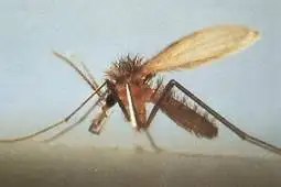 clinique vtrinaire La Ciotat