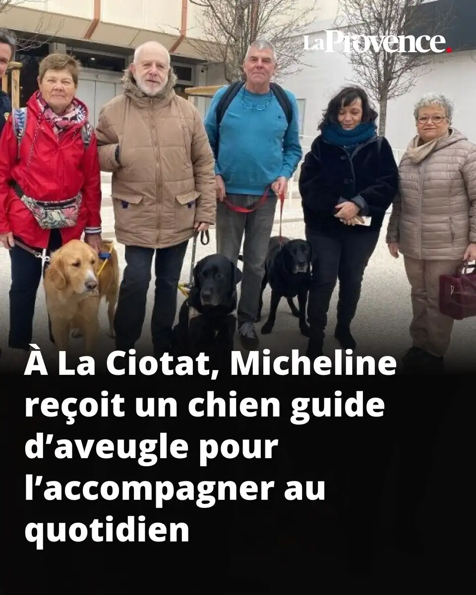 Clinique v�t�rinaire � La Ciotat : la sant� des chiens guides d'aveugle